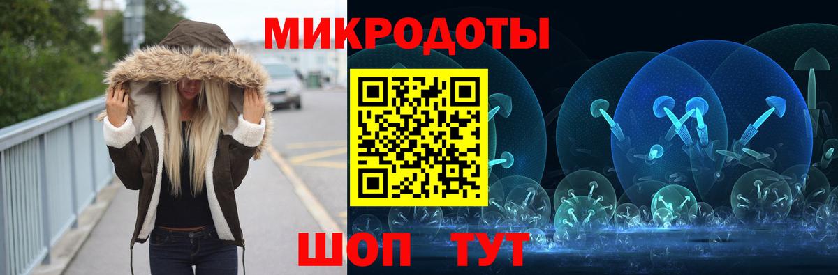 Псилоцибиновые грибы Psilocybine cubensis Ростов Великий
